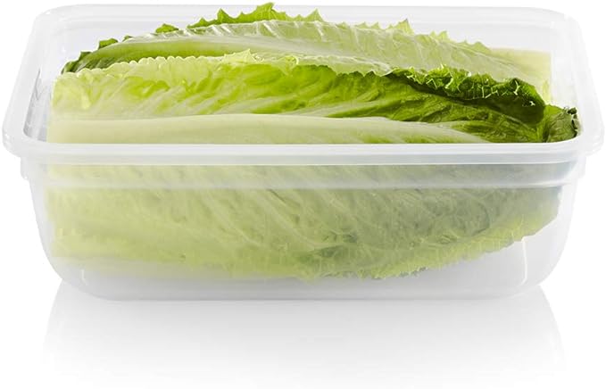 Snapware Total Solution 6-Pc Plastic Food Storage Containers Set with Lids, 8.5-Cup Rectangle Meal Prep Container, Non-Toxic, BPA-Free with 4 Locking Tabs, Microwave, Dishwasher, and Freezer Safe