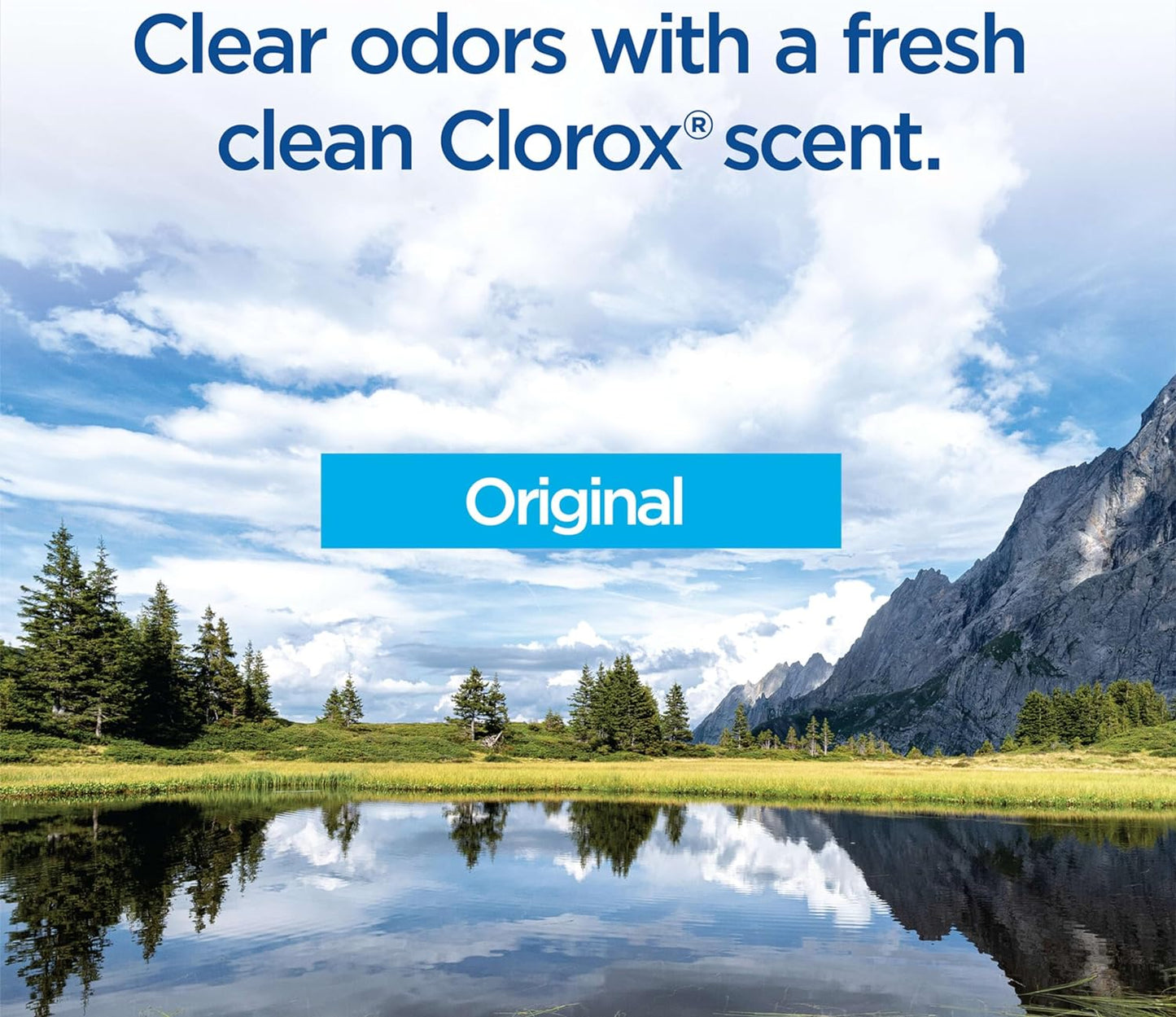 Clorox Toilet Cleaning System - ToiletWand, Storage Caddy and 16 Heads (Package May Vary)