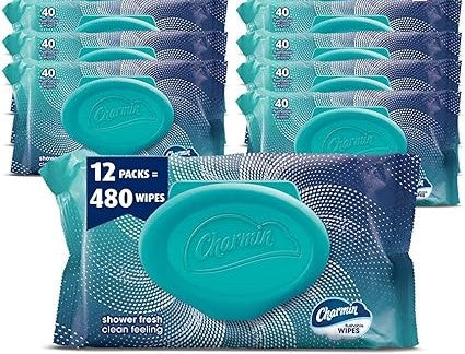 Charmin Flushable Wipes, 12 packs, 40 Flushable Wipes per Pack
