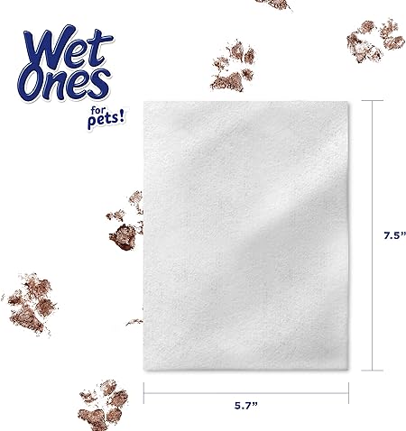 Wet Ones for Pets Deodorizing Multi-Purpose Dog Wipes with Baking Soda, 100 ct- 3 Pack | Dog Deodorizing Wipes for All Dogs in Tropical Splash Scent, Wet Ones Wipes for Deodorizing Dogs (FF12849PCS3)