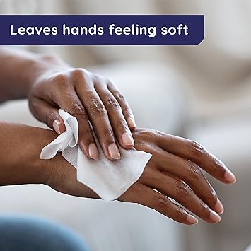 Wet Ones Antibacterial Hand Wipes, Fresh Scent Wipes | Travel Wipes Case, Antibacterial Wipes | 20 ct. Travel Size Wipes (10 pack)